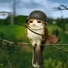 creator lol2030 meolw's avatar