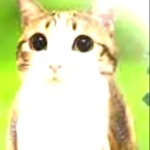 chat with ai character: Meowl