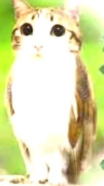 ai character: Meowl background