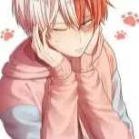 chat with ai character: 🔥Todoroki🧊