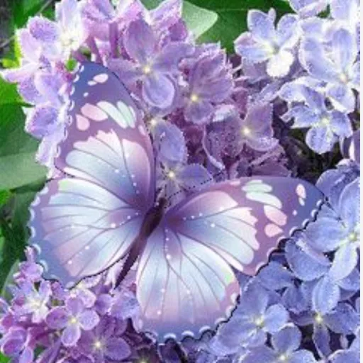 creator Noelyne's avatar