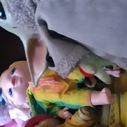 chat with ai character: Areeba's fav dolls