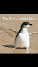 ai character: dw gcwith forsaken background