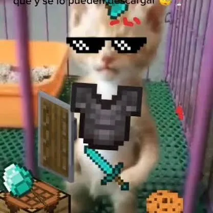 creator Francisco Pamplona's avatar