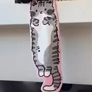 creator astroiddestroyer🤍r's avatar