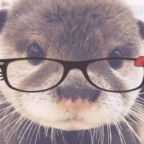 creator ༺⛥𝖒𝖆𝖊⛥༻'s avatar