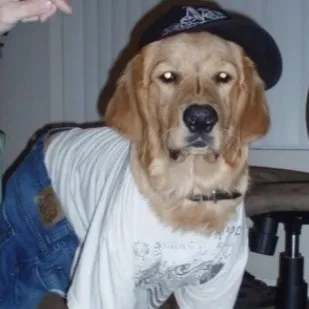 creator 4BYSSAL's avatar