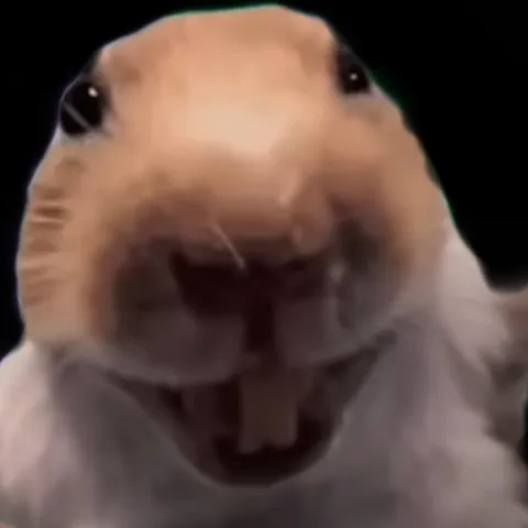 creator Mup's avatar