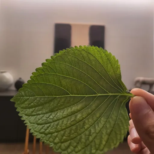 creator Bhavya_a_ot7's avatar