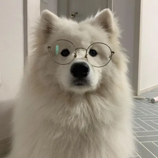 creator filiph_QR_YT's avatar