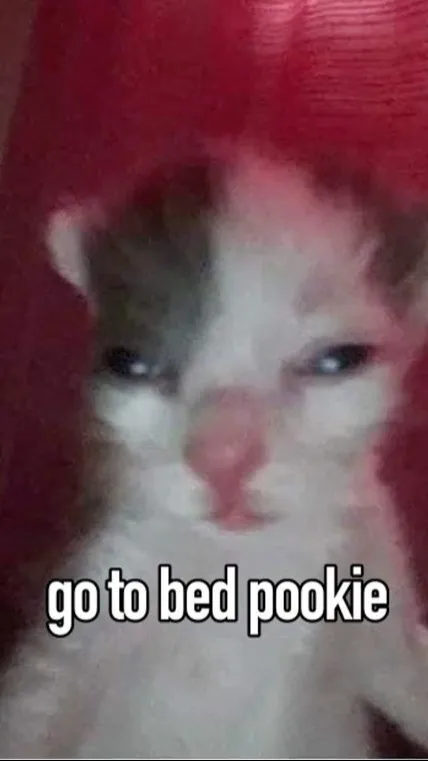 ai character: MHA <3  background