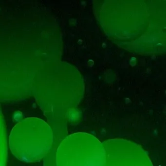 chat with ai character: Anomaly