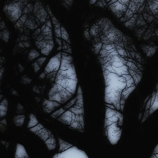 chat with ai character: Soulbound