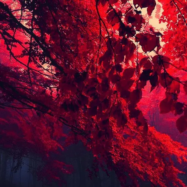 chat with ai character: This isn’t me.