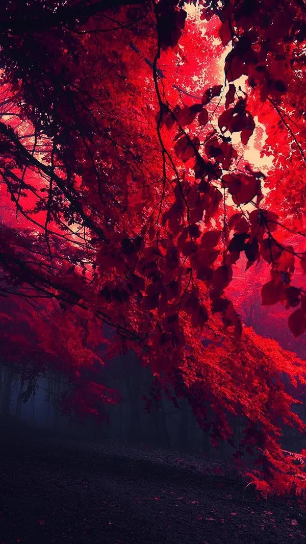 ai character: This isn’t me. background