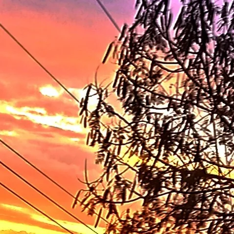 creator alguien random.'s avatar