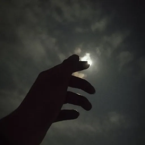 creator Changbin's wife's avatar