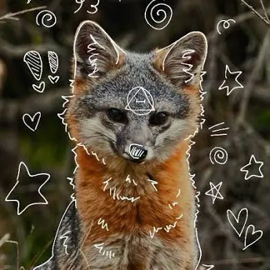 creator 🍄🐾Oynx🐾🍄's avatar