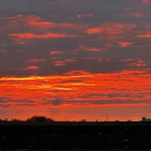 creator ⊹܀𝘮𝘪𝘯𝘬!'s avatar