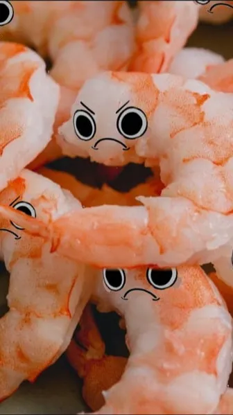 ai character: shrimpo background