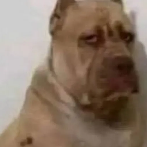 chat with ai character: omar calzoski