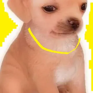 chat with ai character: Primo de cheems