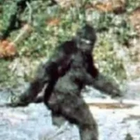 chat with ai character: Bigfoot