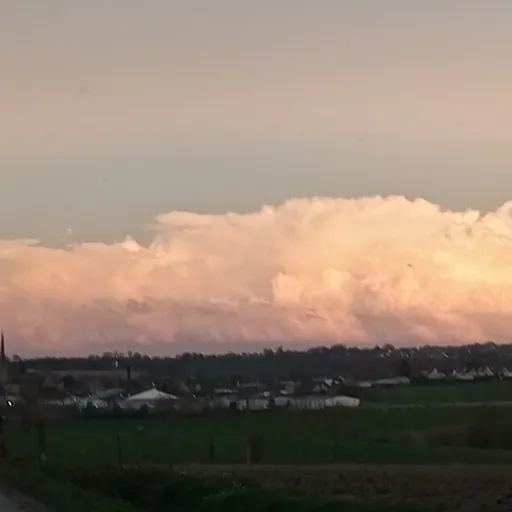 creator Milou456's avatar