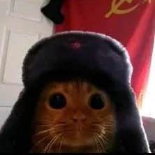 creator ❤️Floppax🖤's avatar