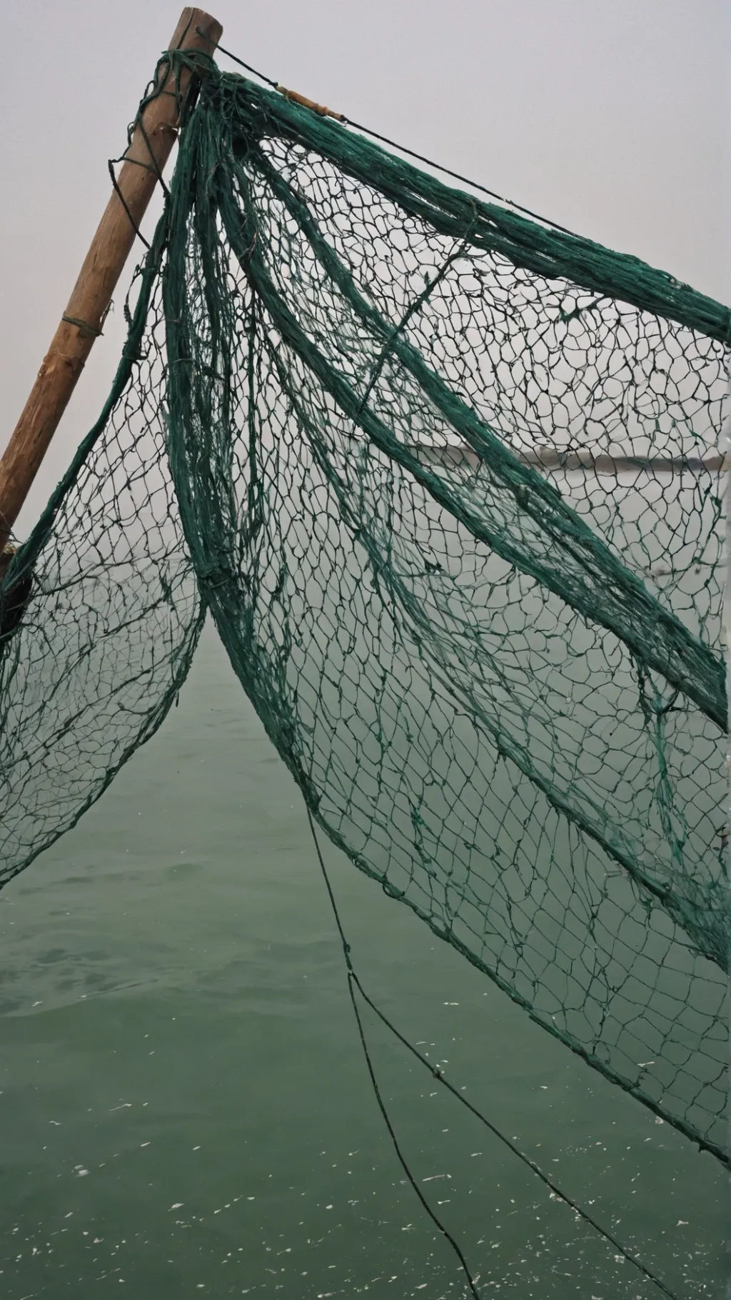 ai character: net background