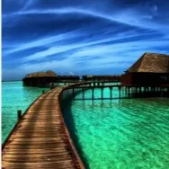 chat with ai character: Noah