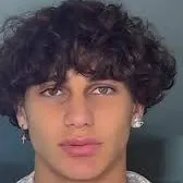 chat with ai character: ryan