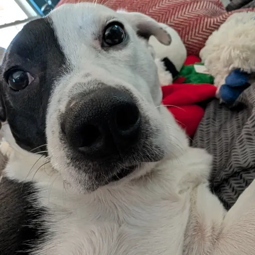 creator faartmoney1's avatar