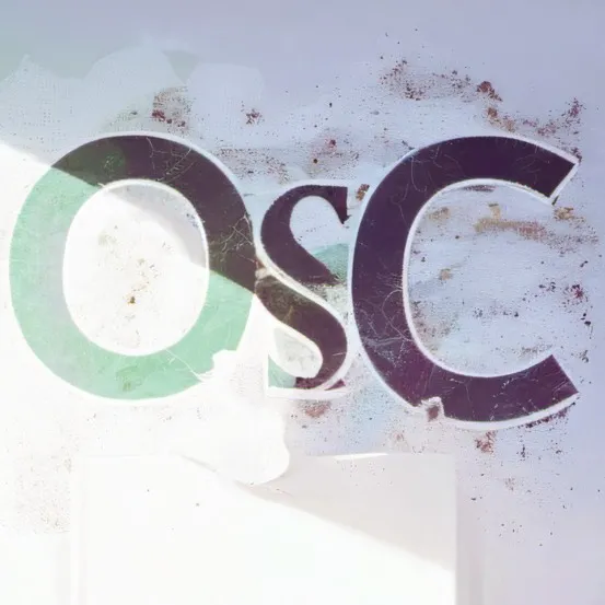 chat with ai character: ✦✧OSC✧ ᴀcademy✦