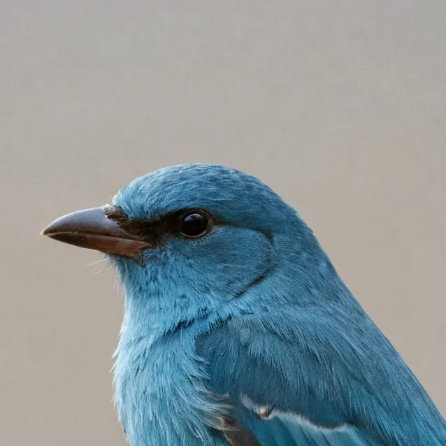 chat with ai character: Jw again