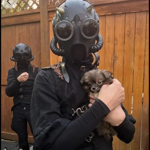 talkie's author avatar