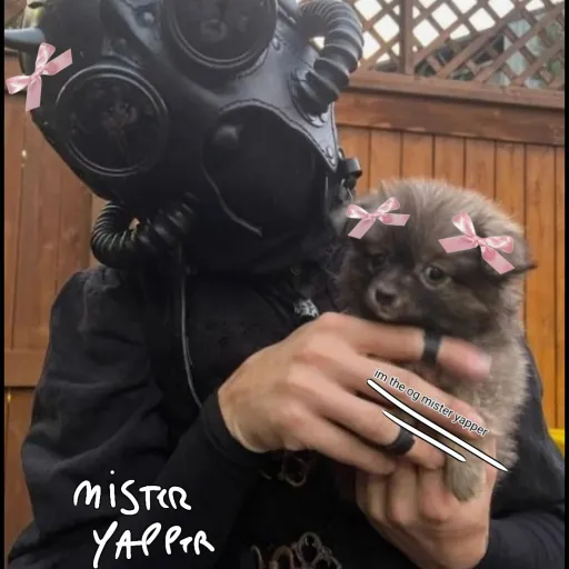 creator MR YAPPER.⚠️🗣️'s avatar