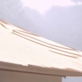 chat with ai character: The Carsons