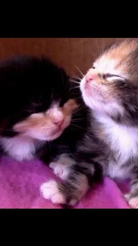 ai character: shadow background