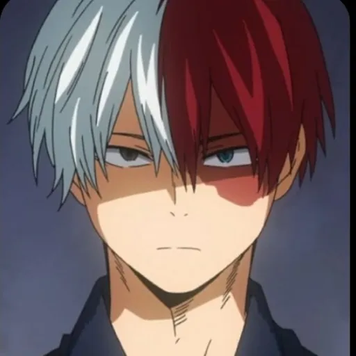 creator 🔥Shoto Todorki❄️'s avatar