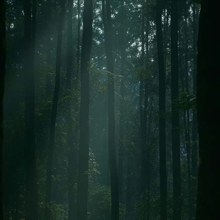 chat with ai character: Fossilberry DW