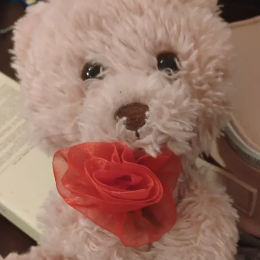 creator BeautifulBitch's avatar