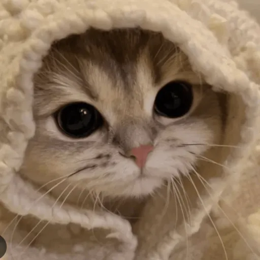 creator They luv Mylar's avatar