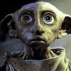 chat with ai character: Dobby