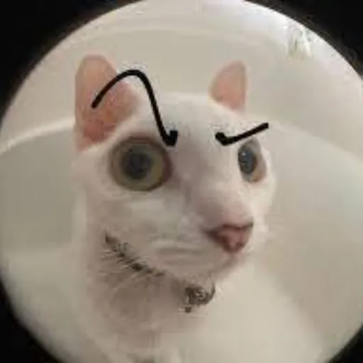 creator Andrea pipipiii's avatar