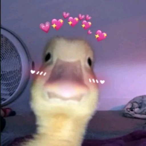 creator <_~\DuCkY/~_>'s avatar