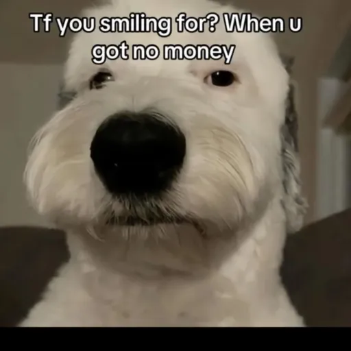 creator Ms.Tiny_'s avatar