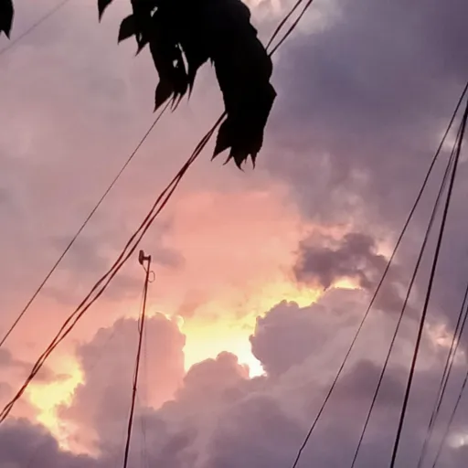 creator shen._.shen's avatar