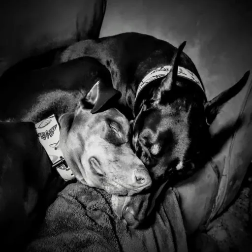 creator Greek Empress's avatar