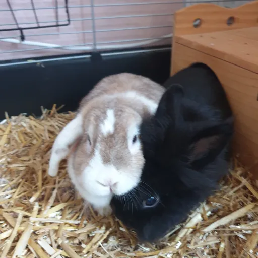 creator jaden43218's avatar